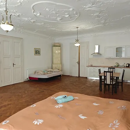 Clasic Apartment Brasov